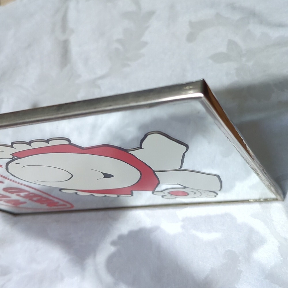 Classic Ziggy Mirror. Metal 8 x 10" Frame. - Picture 8 of 9